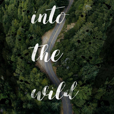 Into The Wild Black Modern Wood Framed Art Print by Matic,Jelena