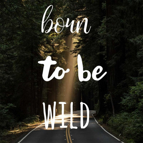 Born To Be Wild Black Modern Wood Framed Art Print by Matic,Jelena