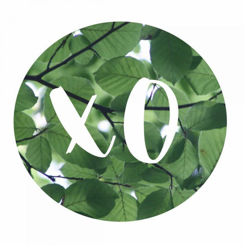 XO Leaves Black Modern Wood Framed Art Print by Matic,Jelena