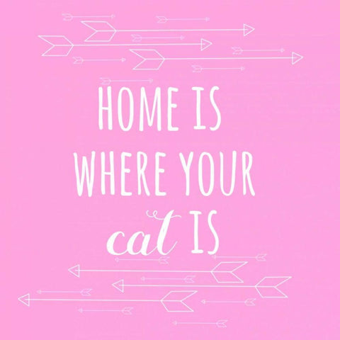 Home Cat White Modern Wood Framed Art Print with Double Matting by Matic,Jelena