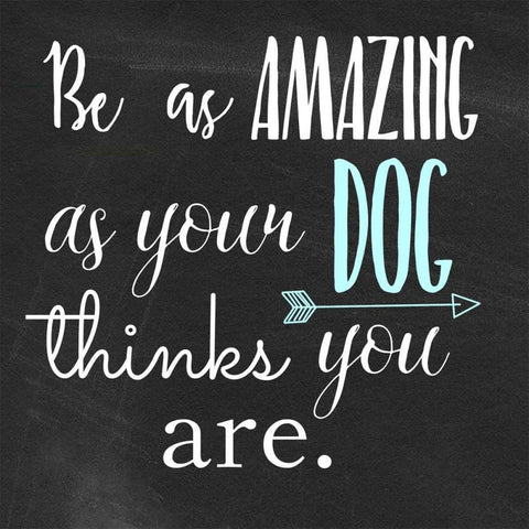 Be Amazing Dog 1 White Modern Wood Framed Art Print with Double Matting by Matic,Jelena