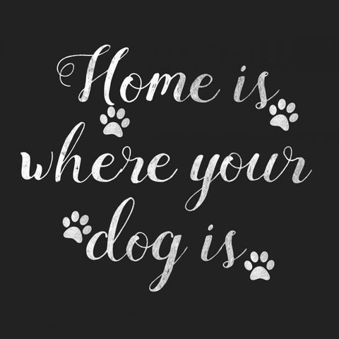 Home Is Where Dog Is Black Modern Wood Framed Art Print with Double Matting by Matic,Jelena