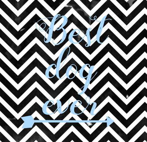 Best Dog Ever White Modern Wood Framed Art Print with Double Matting by Matic,Jelena