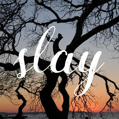 Insta Slay Black Ornate Wood Framed Art Print with Double Matting by Matic,Jelena