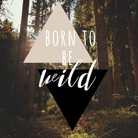 Born To Be Wild 38 White Modern Wood Framed Art Print with Double Matting by Matic, Jelena