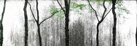 Midtown Waterfall Black Ornate Wood Framed Art Print with Double Matting by Pica, Jeff