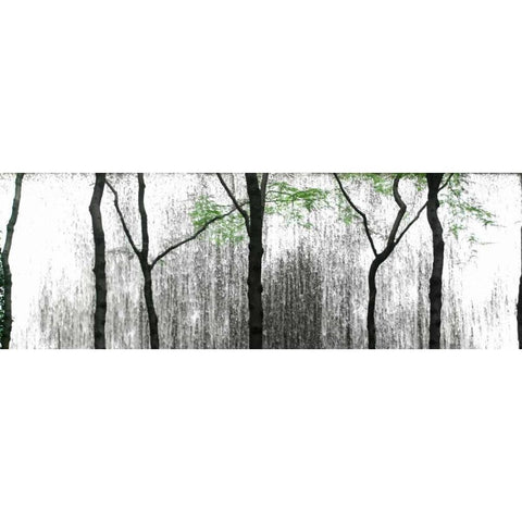 Midtown Waterfall Black Modern Wood Framed Art Print with Double Matting by Pica, Jeff