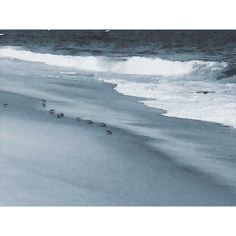 West Coastal Shore Black Modern Wood Framed Art Print by Pica, Jeff