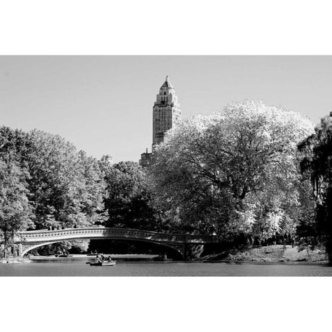 Circular Central Park Bridge Black Modern Wood Framed Art Print by Grey, Jace