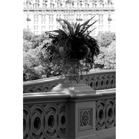 Central Park Bridge 5 White Modern Wood Framed Art Print by Grey, Jace