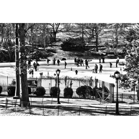 Central Park Skating Gold Ornate Wood Framed Art Print with Double Matting by Grey, Jace