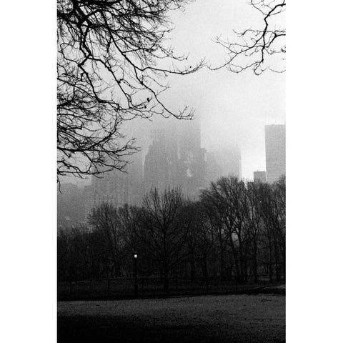 Central Park A White Modern Wood Framed Art Print by Grey, Jace