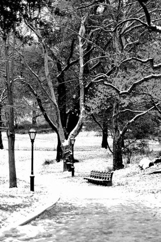 Central Park Snowy Scene Black Ornate Wood Framed Art Print with Double Matting by Grey, Jace
