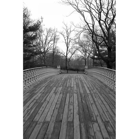 Central Park Bridge 4 Black Modern Wood Framed Art Print with Double Matting by Grey, Jace