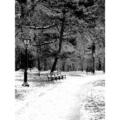 Central Park Snowy Scene 2 Gold Ornate Wood Framed Art Print with Double Matting by Grey, Jace