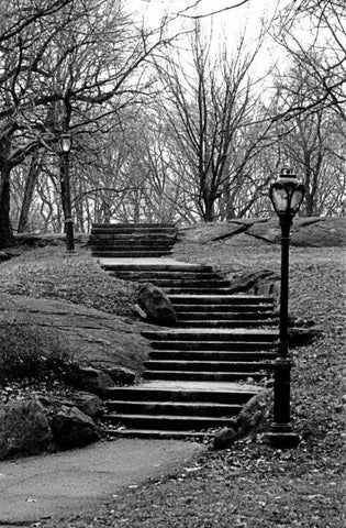 Central Park Stairs To Nowhere Black Ornate Wood Framed Art Print with Double Matting by Grey, Jace