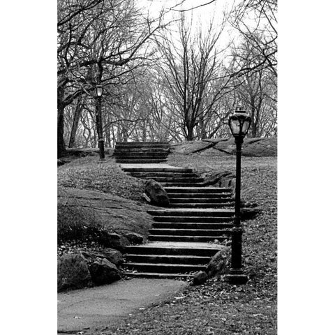 Central Park Stairs To Nowhere Gold Ornate Wood Framed Art Print with Double Matting by Grey, Jace