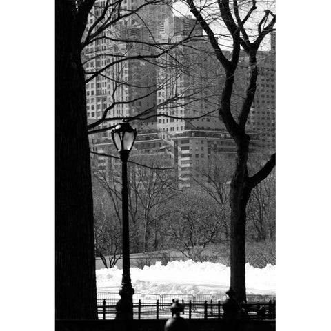 Central Park Concrete Forest Black Modern Wood Framed Art Print with Double Matting by Grey, Jace