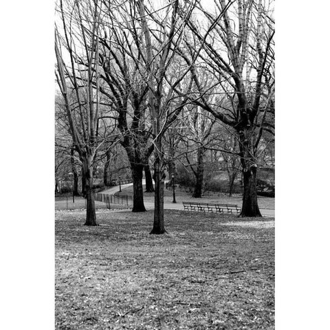 Central Park Image 013 Black Modern Wood Framed Art Print with Double Matting by Grey, Jace