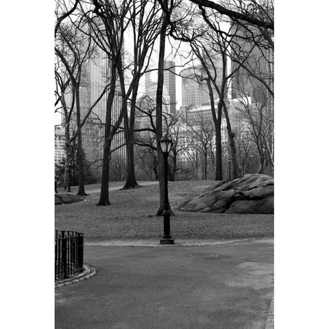 Central Park Image 062 Black Modern Wood Framed Art Print with Double Matting by Grey, Jace