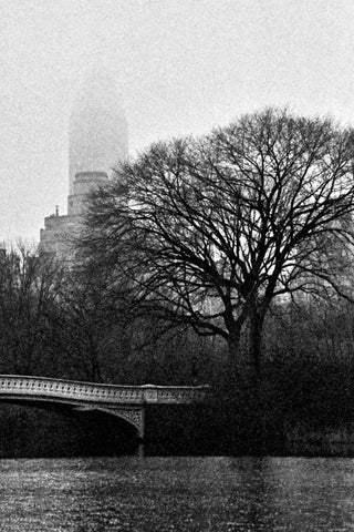 Central Park Bridge I White Modern Wood Framed Art Print with Double Matting by Grey, Jace