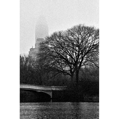 Central Park Bridge I Black Modern Wood Framed Art Print with Double Matting by Grey, Jace