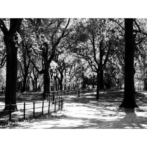 Central Park Walk White Modern Wood Framed Art Print by Pica, Jeff