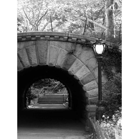 Under The Bridge White Modern Wood Framed Art Print by Pica, Jeff