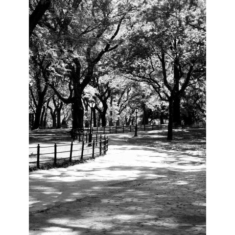 Central Park Walk 2 Black Modern Wood Framed Art Print with Double Matting by Pica, Jeff