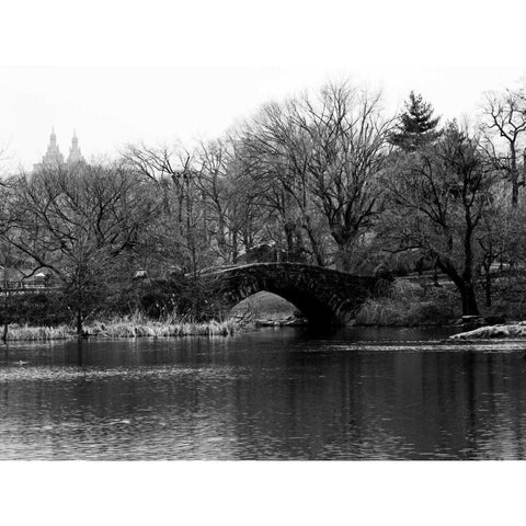 Central Park Bridge 2 White Modern Wood Framed Art Print by Pica, Jeff