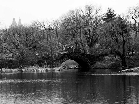 Central Park Bridge 2 Black Ornate Wood Framed Art Print with Double Matting by Pica, Jeff