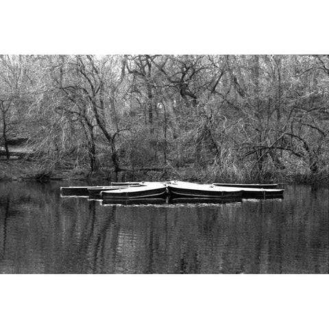 Central Park Rowboats Together Gold Ornate Wood Framed Art Print with Double Matting by Grey, Jace