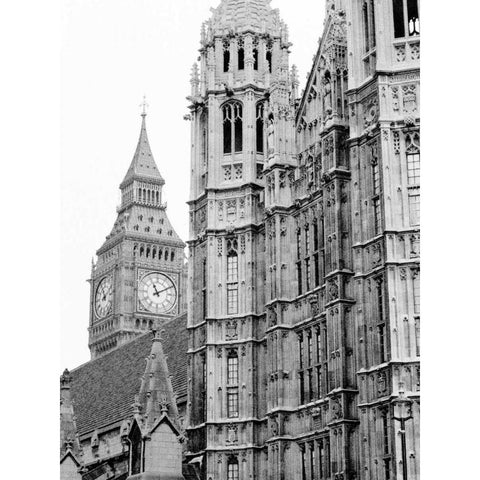 London Natural History Museum Gold Ornate Wood Framed Art Print with Double Matting by Grey, Jace