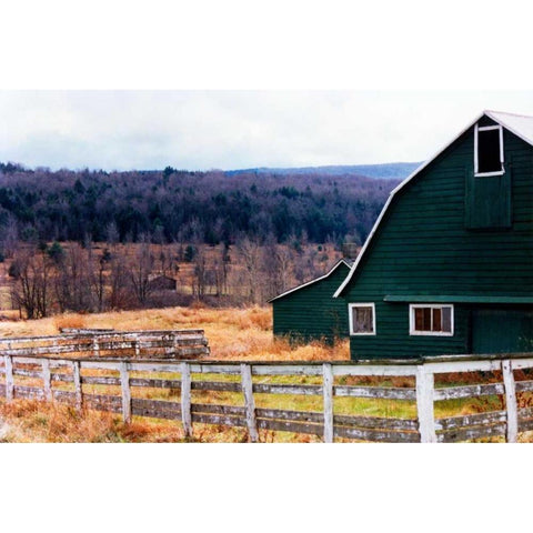 Rancher White Modern Wood Framed Art Print by Pica, Jeff