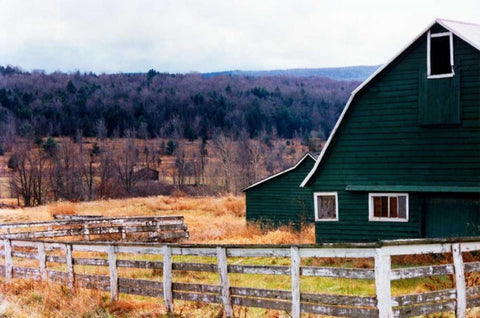 Rancher Black Ornate Wood Framed Art Print with Double Matting by Pica, Jeff