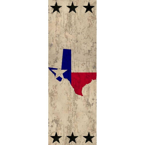 Lone Star State White Modern Wood Framed Art Print by Allen, Kimberly