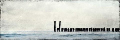 Horizontal Sea Bed White Modern Wood Framed Art Print with Double Matting by Allen, Kimberly