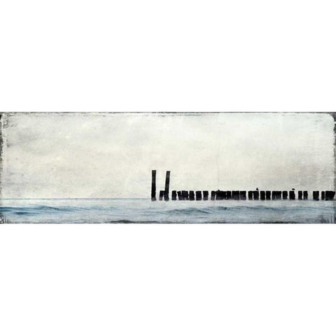 Horizontal Sea Bed Gold Ornate Wood Framed Art Print with Double Matting by Allen, Kimberly