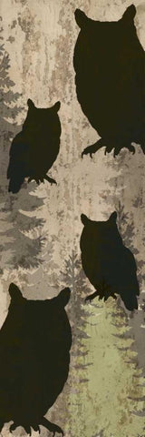 Owls and Pines Black Ornate Wood Framed Art Print with Double Matting by Allen, Kimberly