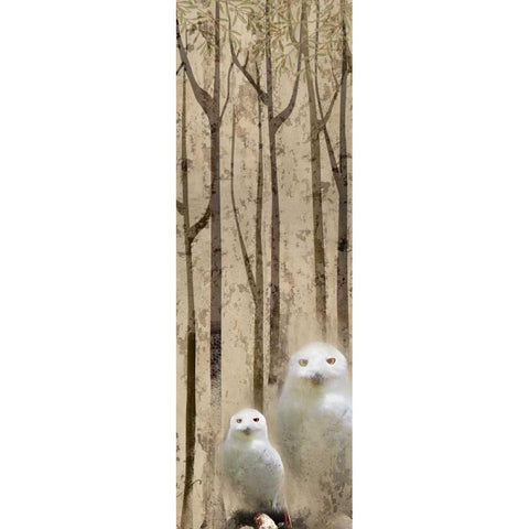 Owls in the Trees 2 Black Modern Wood Framed Art Print with Double Matting by Allen, Kimberly