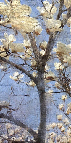 Magnolia Panel 1 White Modern Wood Framed Art Print with Double Matting by Allen, Kimberly