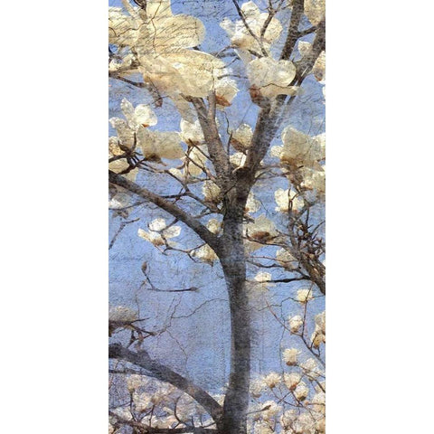 Magnolia Panel 1 White Modern Wood Framed Art Print by Allen, Kimberly