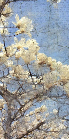 Magnolia Panel 2 Black Ornate Wood Framed Art Print with Double Matting by Allen, Kimberly