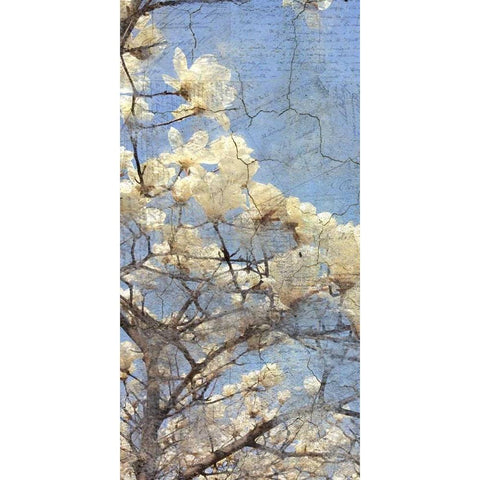 Magnolia Panel 2 Black Modern Wood Framed Art Print with Double Matting by Allen, Kimberly