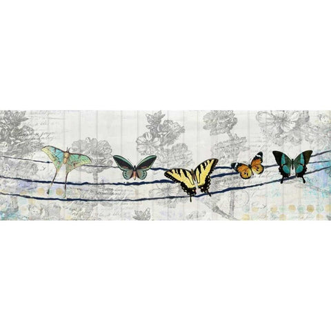 Butterfly Day Black Modern Wood Framed Art Print with Double Matting by Allen, Kimberly