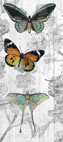 Butterflies Are Free 1 Black Ornate Wood Framed Art Print with Double Matting by Allen, Kimberly