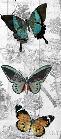Butterflies Are Free 2 Black Ornate Wood Framed Art Print with Double Matting by Allen, Kimberly