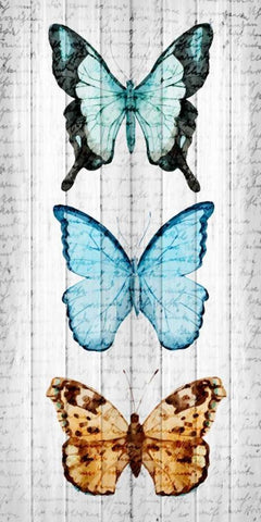 Vintage Butterfly 1 White Modern Wood Framed Art Print with Double Matting by Allen, Kimberly