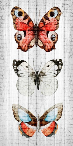 Vintage Butterfly 2 White Modern Wood Framed Art Print with Double Matting by Allen, Kimberly