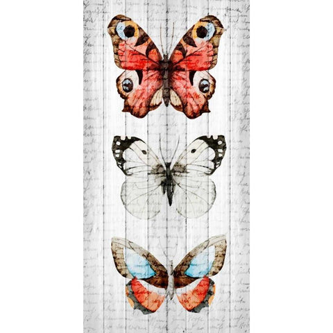 Vintage Butterfly 2 Black Modern Wood Framed Art Print with Double Matting by Allen, Kimberly